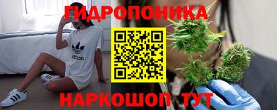 крисы Среднеуральск