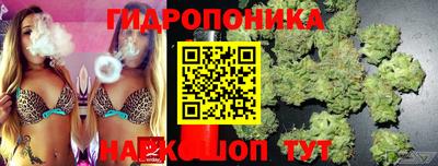 крисы Среднеуральск