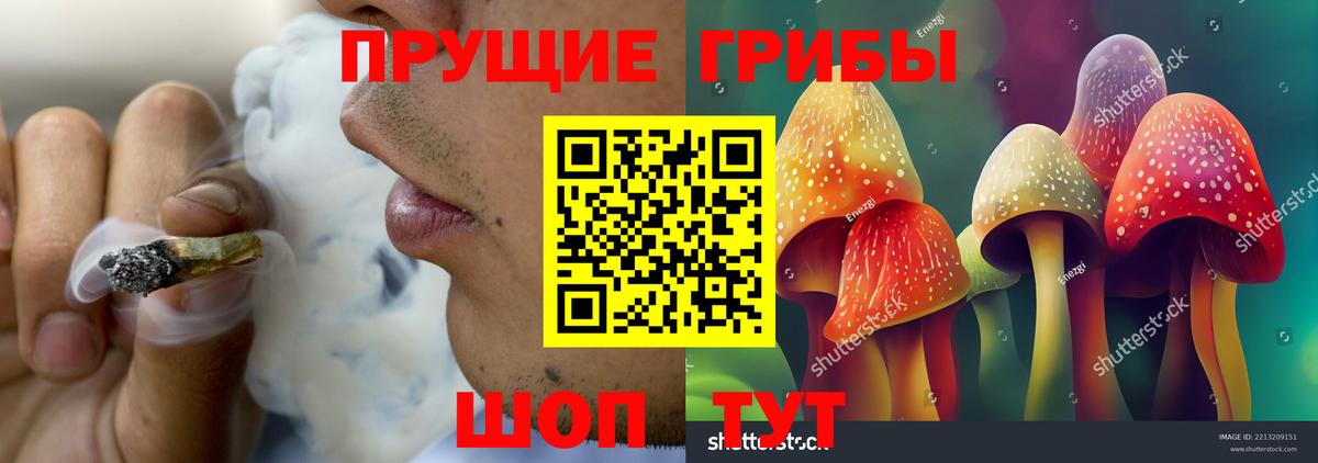 Галлюциногенные грибы Psilocybe  Вход с VPN  Галлюциногенные грибы Cubensis  Ртищево 